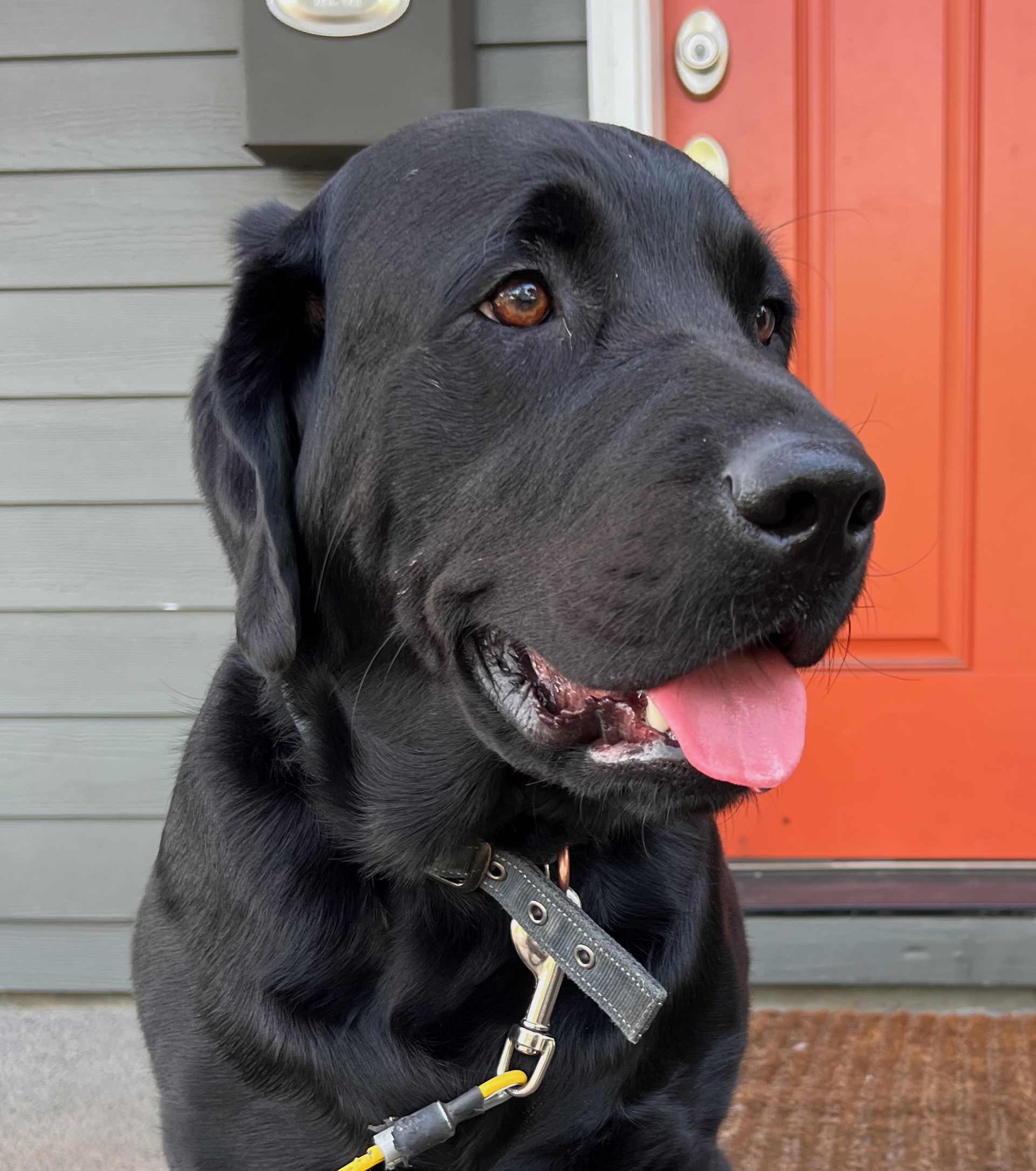 Linus Harding-Wang's Picture